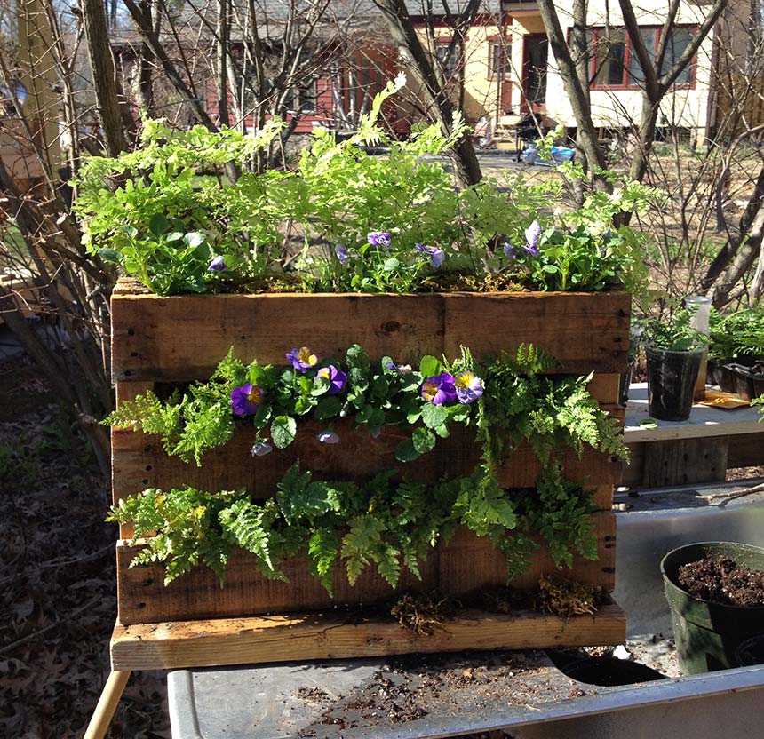 Home Garden Coaching